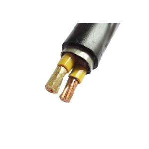 Power Station Muti - cores Low voltage Fire Resistant Cable IEC60502-1 IEC60228