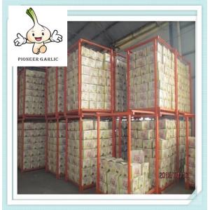 Jining fresh Natural Garlic ( Natural) Garlic supplier Mesh Bag Package