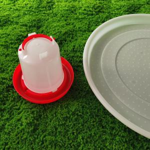 Easy Cleaning Poultry Feeding Tray Standard Capacity Bird Breeding Tool