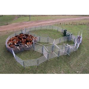 Quality 20pcs Bundle Heavy Duty Portable Cattle Panels For Sale &amp; Gate for sale