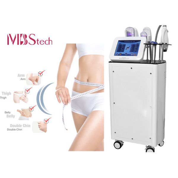 Buy 1000KHz 180mJ Fat Freezing Cryolipolysis Slimming Machine at wholesale prices