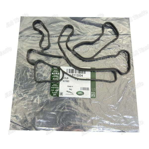 range rover Automotive Sealing Gasket 4.4 V8 Diesel Oil Cooler Seal Gasket Lr022903 Lr113003 Lr077242 Lr113004