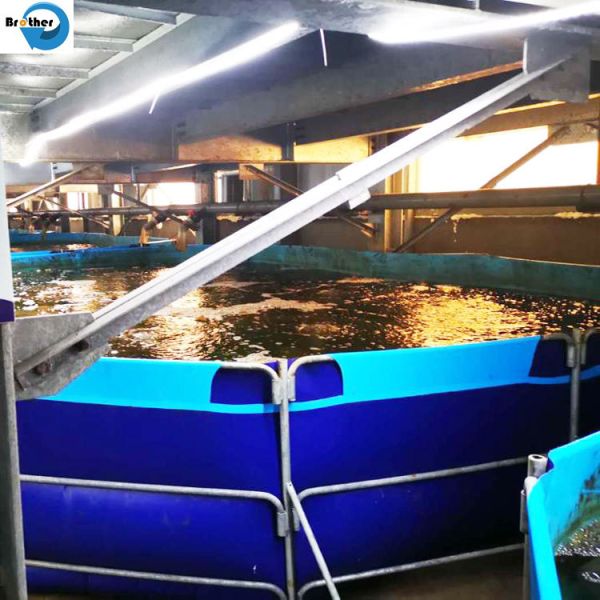 Buy 160L 250L 500L waterproof foldable storage water flexible tank with good quality at wholesale prices