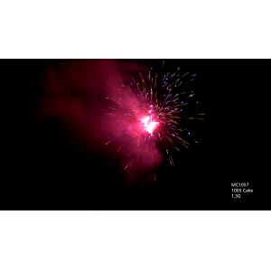 China OEM 100 Shots Professional Pyrotechnics Fireworks on sale