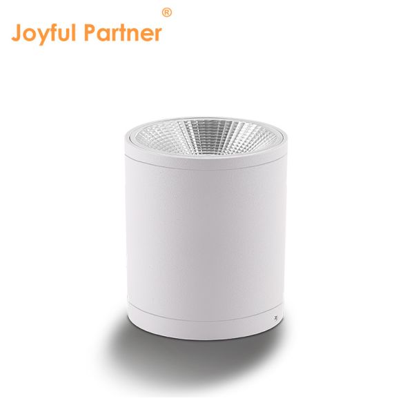 Buy LED Dark Cylinder Wall Mounted Lighting For Outdoor Garden Wall Daylight COB Al Material With OEM Services at wholesale prices