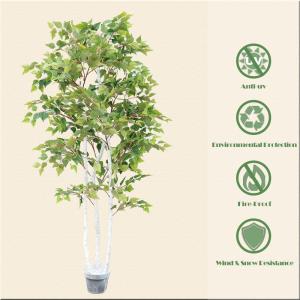 Ornamental Plant Artificial Radermachera Sinica Natural Greening For Home