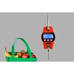 Quality 50g/100g Accuracy Digital Weight Hanging Scale , Crane Weighing Machine for sale