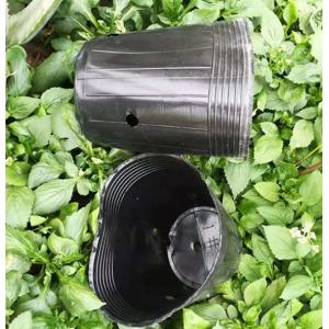 Wholesale plastic soft pot cheap plant pot mini plant pot