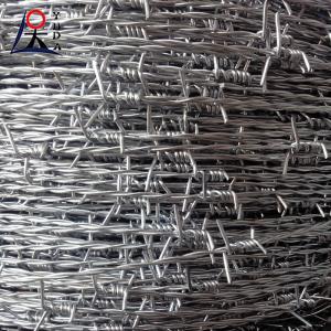 Galvanized Barbed Wire with PVC Coating for Security Fencing