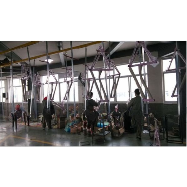 20 Inch Steel Material Frame Chopper Bike with F Disc Brake and R Coaster Brake