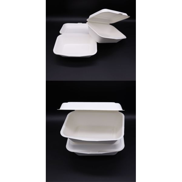 Biodegradable Disposable Sugarcane Bagasse Takeaway Food Container Packaging Clamshell Lunch Box Paperboard Accept B002 Hbmg