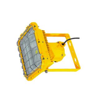 High Lumen 90lm/W Explosion Proof Lamp 30W-70W