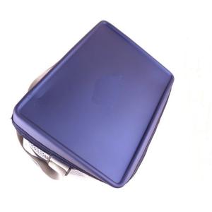 Portable Lunch Cooler Bag Insulated Backpack Cooler Bags