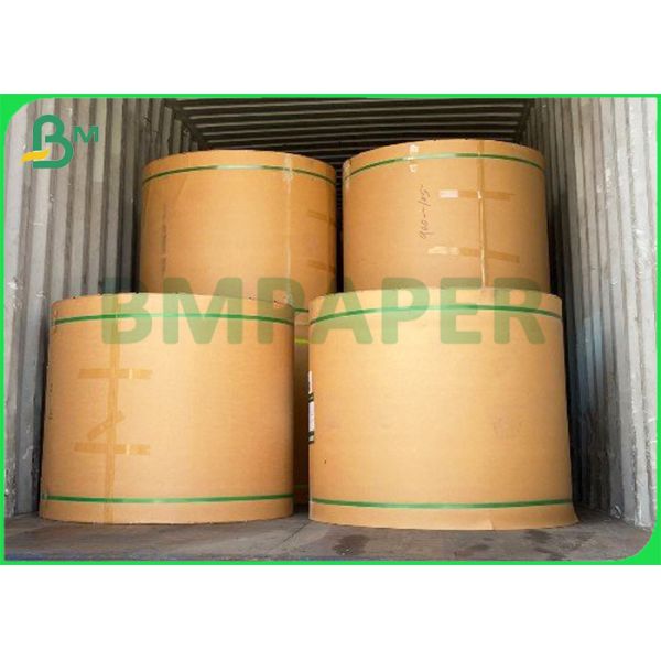 beverage packaging paperboard