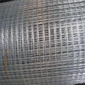 1/4 Inch Small Hole Heavy Duty Hot Dipped Galvanized Hardware Cloth/ Welded Wire