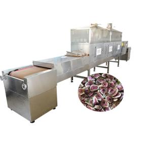 Quality Fig Processing Microwave Food Sterilization Equipment With Plc System for sale