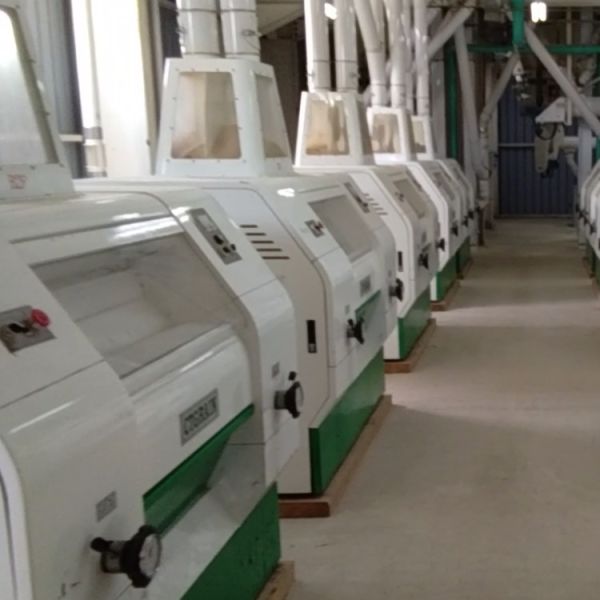 Buy 200T-300T/24H Industrial Flour Mill Wheat Flour Milling Plant at wholesale prices