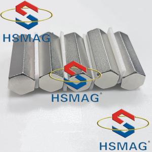 HSMAG Multifunction Electroplate Hexagonal Prism SmCo Magnet Sm2Co17 30AH 30EH