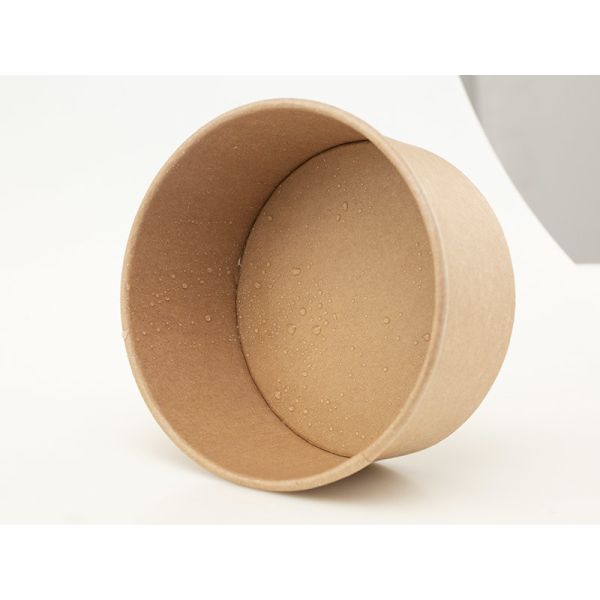 Buy Sturdy Disposable Salad Bowls With Lids 16oz 500ml Waterproof at wholesale prices