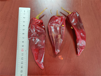 100g Natural Round Tianjin Red Chilies