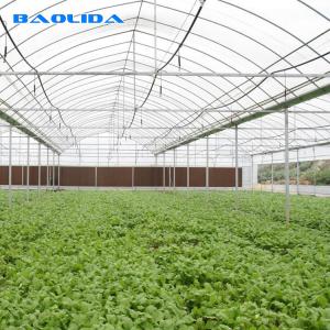 Transparent Glass Tunnel Multispan Greenhouse Plant Cultivation