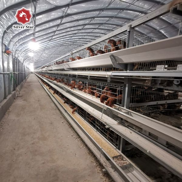 Buy Poultry Farm Layer Chicken Cage Galvanized Long Layer Battery Cages at wholesale prices