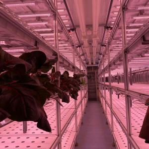 LED Light Indoor Hydroponic Farm Container with Climate Control