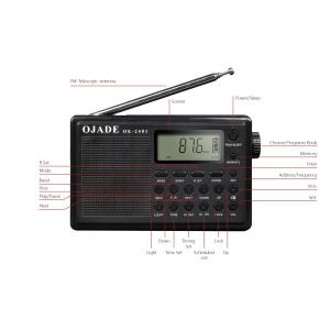 China Bluetooth Support Digital Radio with FM 50 Channel Memory and Portable Design on sale China Bluetooth Support Digital Radio with FM 50 Channel Memory and Portable Design on sale