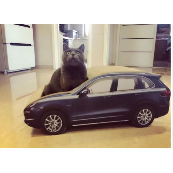 Eco Friendly Corrugated Cat Scratcher Paper Training Renewable Resources