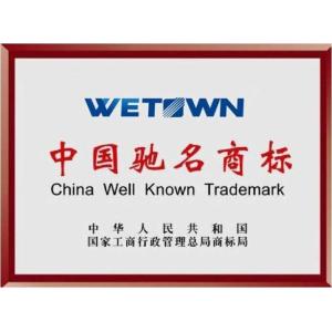Wetown Electric Group Co.,Ltd.