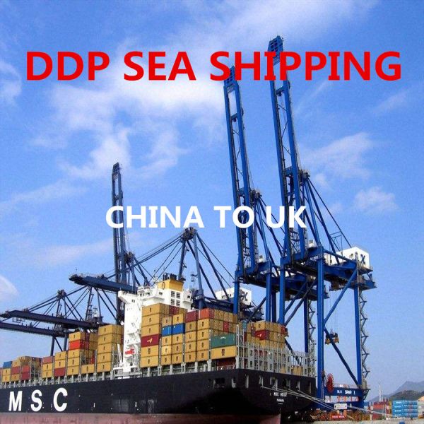 Buy Less Container FBA DDP Sea Shipping China To Amazon UK at wholesale prices