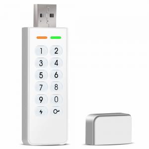 China Datage High Level AES 256bit Password Encryption Flash USB Key Drive Encripted USB 2.0 Disk White on sale