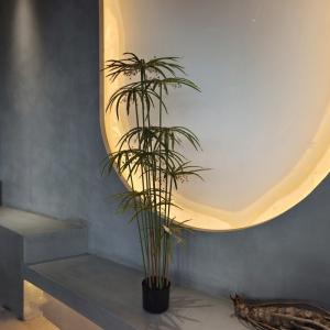 UV Resistant Plastic Faux Plants Artificial Graptopetalum Tree