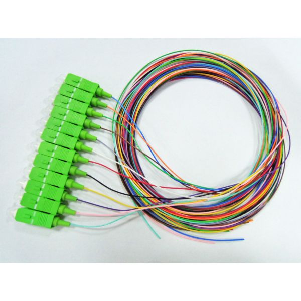 Buy 12 Strand SC APC Optical Fiber Pigtail 900 Micron Tight Buffer For Telecommunication at wholesale prices