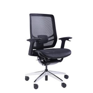 High Back Mesh Ergonomic Office Chair Executive Swivel Adjustable Armrest