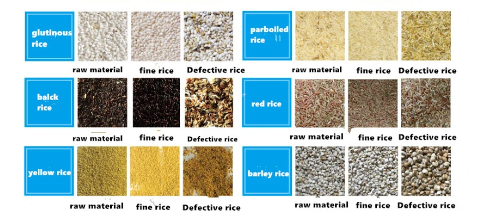 12 Chute Large Capacity Rice Color Sorting Machine Intelligent Color Sorter For Various Crops