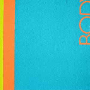 Durable Front Foot Traction Pad 3m Adhesives Logo Printing Acceptable