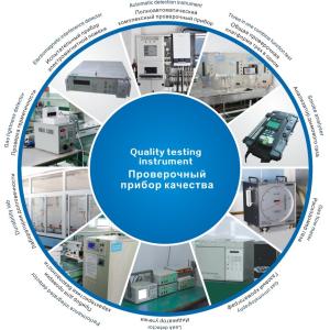 Powerful Wall Installed Gas Boiler Programmable Controls Variable Dimensions