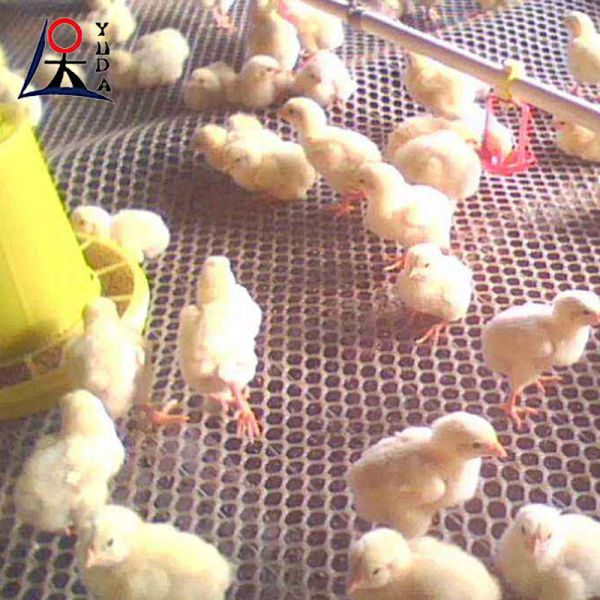 Pe Plastic Rigid Flat Net Hdpe Extruded Pp Chicken Wire Fence Net