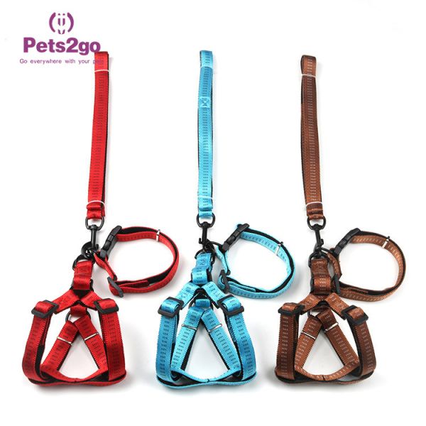 Oem Design Dog Nylon Stocked Pet Training Collars