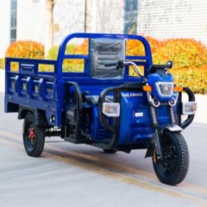 China Blue Utility Electric Tricycle Truck Cargo E Trike Truck 1000W on sale