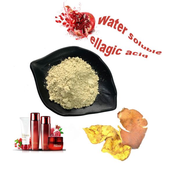 Buy Anti Inflammatory Pomegranate Extract Ellagic Acid Cosmetic Grade at wholesale prices