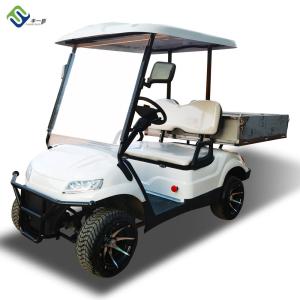 Custom Power Steering EV Golf Cart Electric Powered Vehicle 20mph