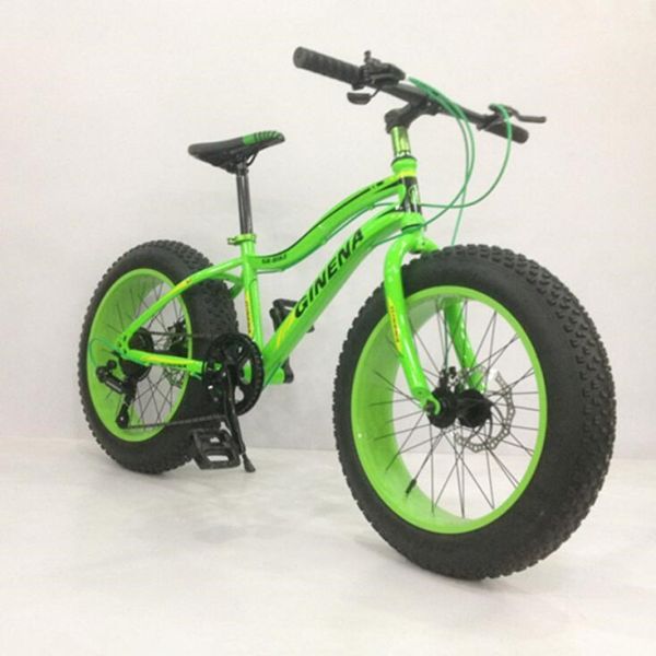 OEM 21 Speed 20 Inch Fat Tire Electric Bike