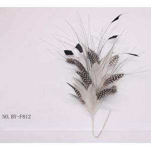 Quality 10x30cm Goose Feather Mounts Party Decor Guinea Fowl Peacock Feather Flowers for sale