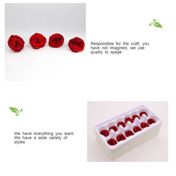 Valentines Wedding Preserved Fresh Flower Ladies Gift Drying Out Flowers