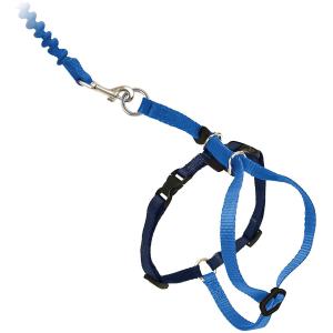 Adjustable Nylon Cat Harness Collar With Bungee Leash