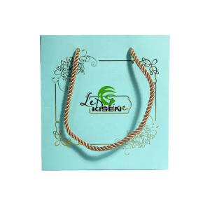 Recycled Folded Retail Paper Shopping Bags High End With Twisted Handle