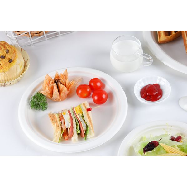 Eco-friendly Disposable Degradable Sugarcane Bagasse Box&Clamshell Tableware(Box,Bowl,Plate,Tray,Cup)