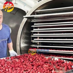 Silicone Oil Heating Industrial Freeze Drying Machine for Seafood Meat Fish